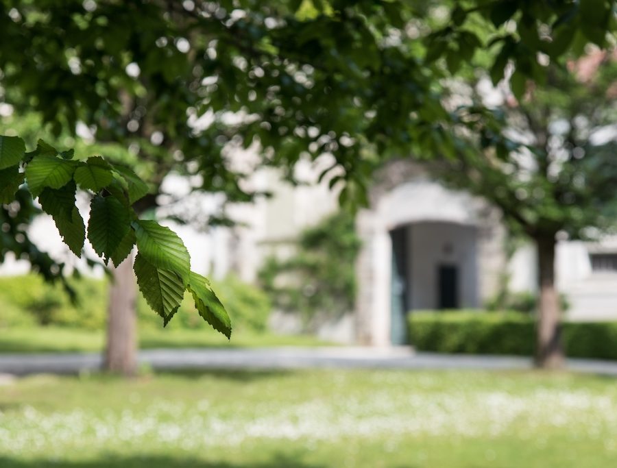 Incorporating Native Flora Landscaping in Your Estate