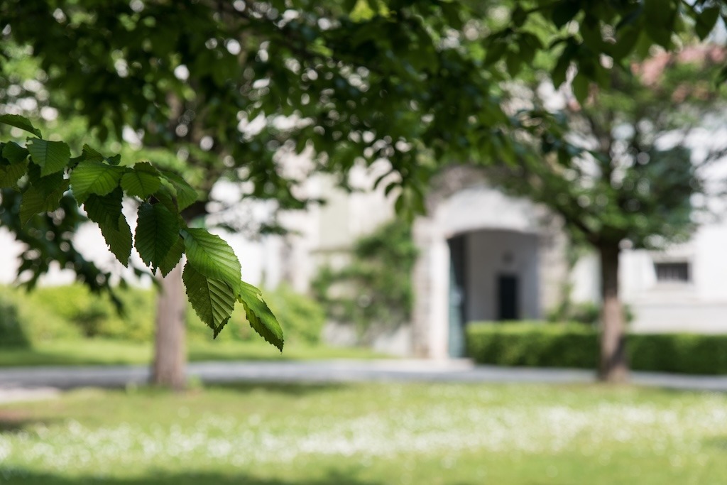 Incorporating Native Flora Landscaping in Your Estate